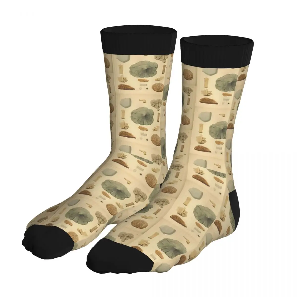

Coral Fossils Fish Socks Men 90% Polyester Cool Middle Tube Socks Winter Unique