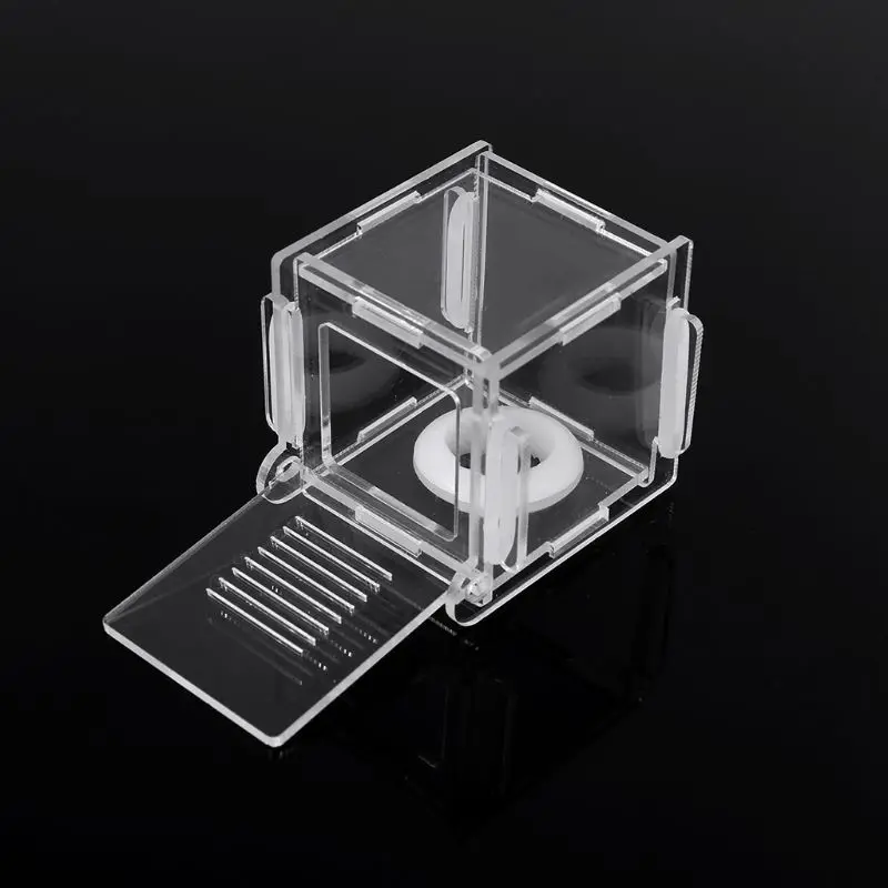 

Ant Nest Glass Tube Mini Ant Nest with Active Zone Insect House Acrylic Ant Farm