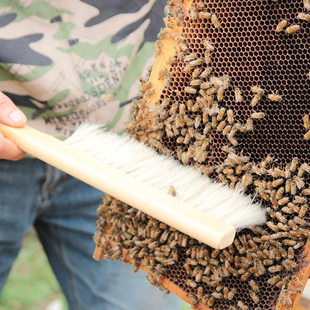 

Щетка для пчеловодства, деревянная, два ряда