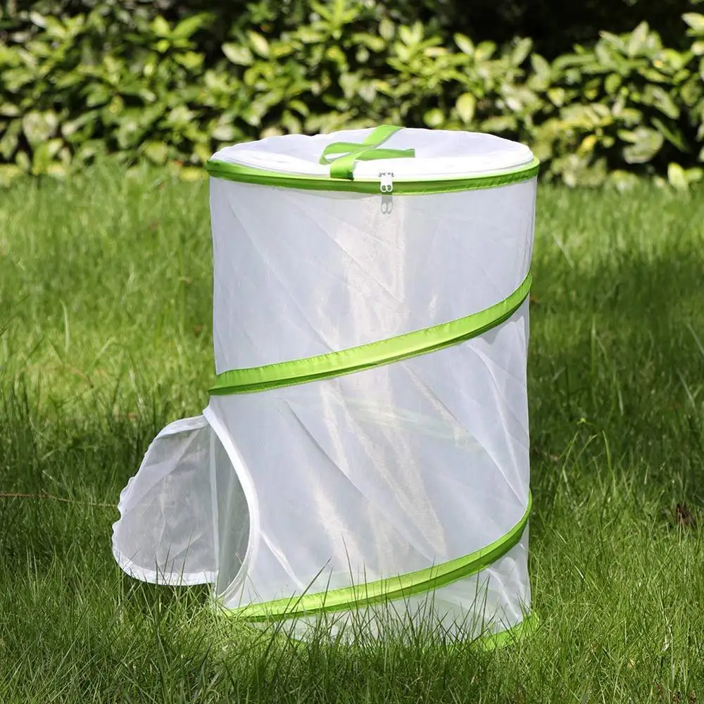 Большая сетчатая панель в виде насекомых и бабочек | Дом сад