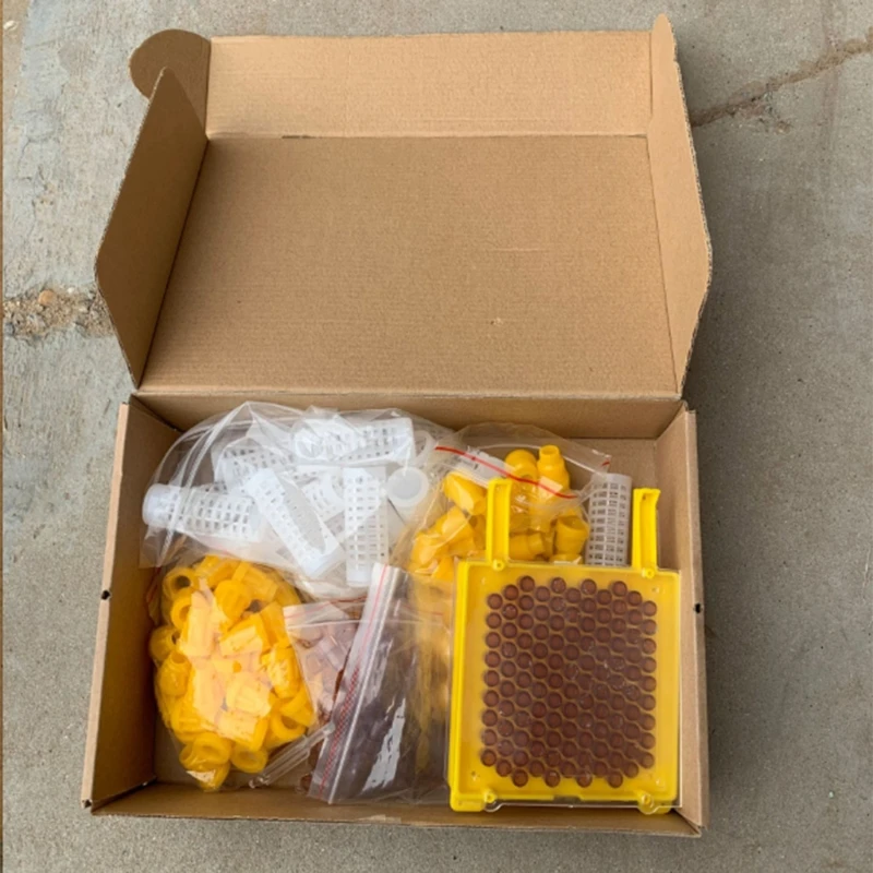

Beekeeping Queen Rearing Kit Cell Cups for Bee Breeding Beekeeper Beehive Tools H051