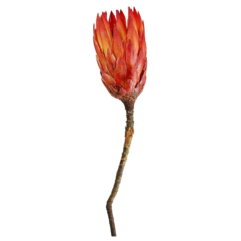 

3pcs Natural Dried Flower Red Snow Lotus for Home Wedding Xmax Decor Flowers Original Immortal Fowers Storage Time 2 Years