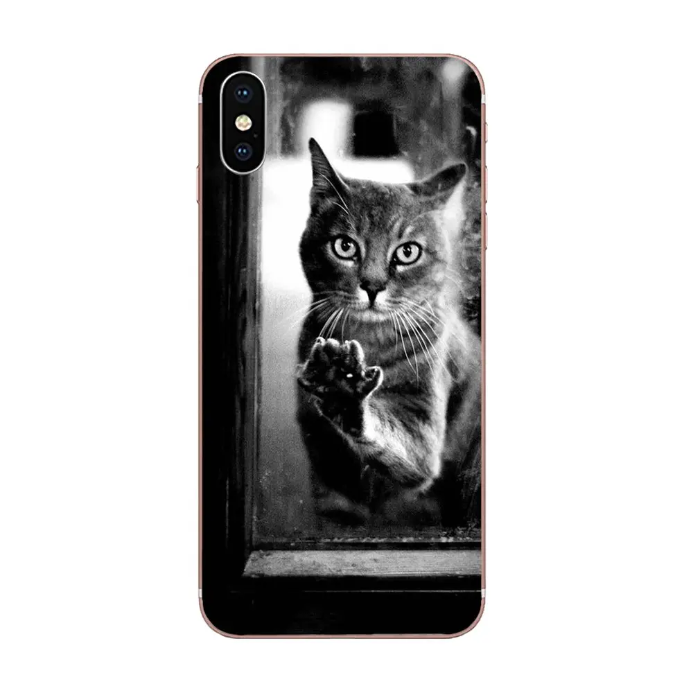 Soft TPU Fashion For iPhone SE2020 11 Plus Pro X XS Max XR 8 7 6S SE 4S 5 5C 5S Print Cute Melancholy Kitten | Мобильные телефоны и