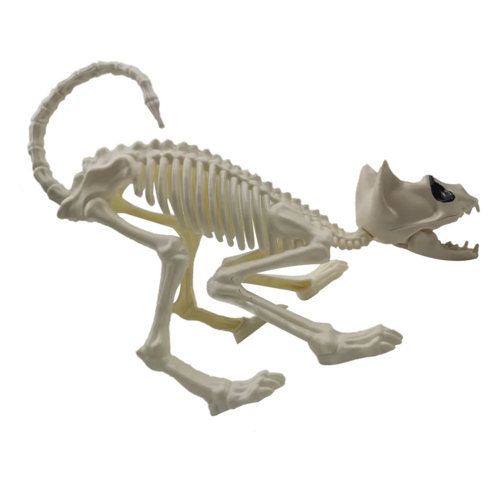 

1Pc Crouching Cat Skeleton Cat Model Creepy Animal Bones for Decoration (White)
