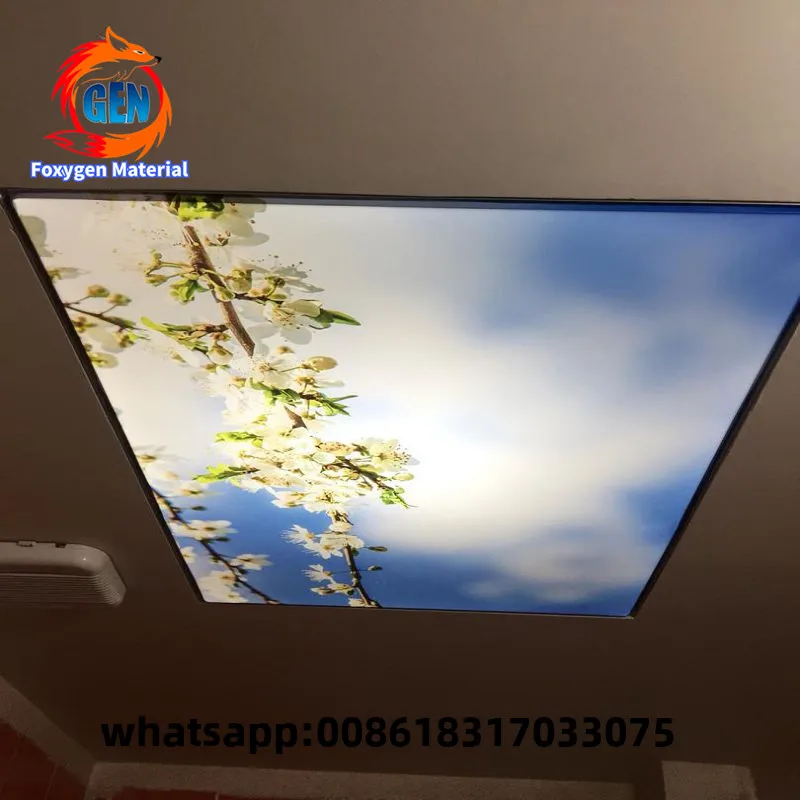 

Hot sell UV printed 3D digital printing blue sky PVC stretch ceiling film