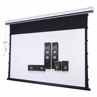 169 hdtv premium electric tab tensioned projector screen with 8k woven acoustically transparent white canvas