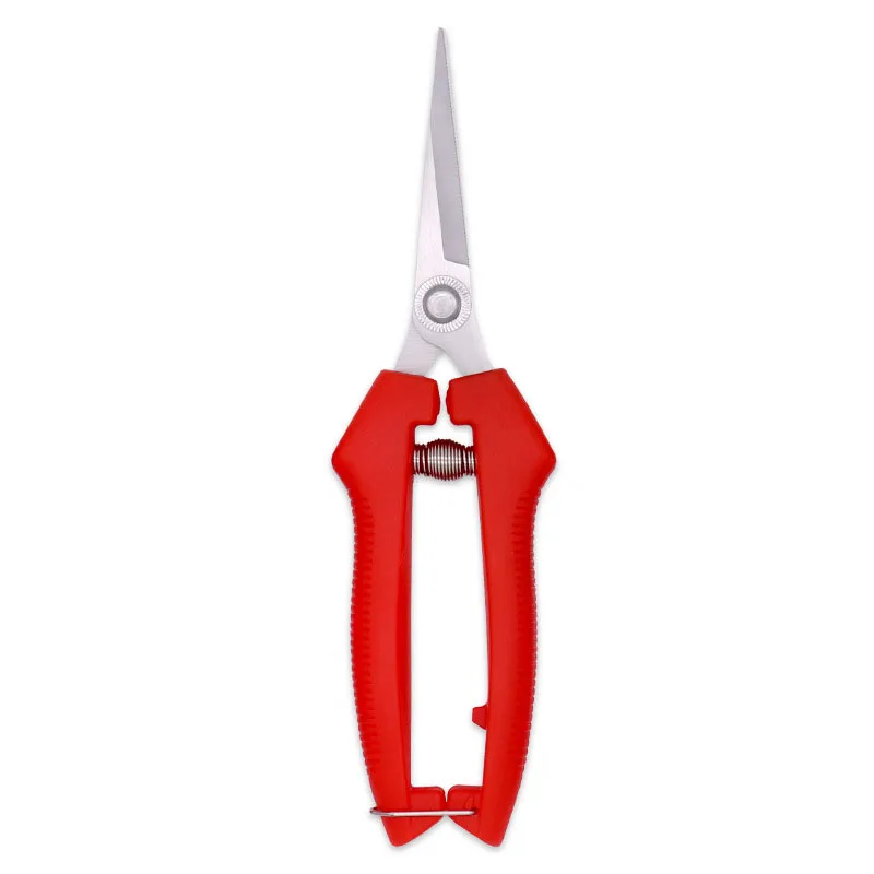 

Pruning shrubs, tools, plants, gardening, potted plants, leaf pruning, pruning, gardening, fruit, flower beds, and hand tools su