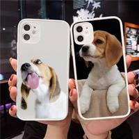 beagle dog phone case for iphone 12 11 mini pro xr xs max 7 8 plus x matte transparent white cover