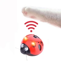 interactive cat toys catch me if you can super fun cat toy aaa battery operated pet toy pet supplier
