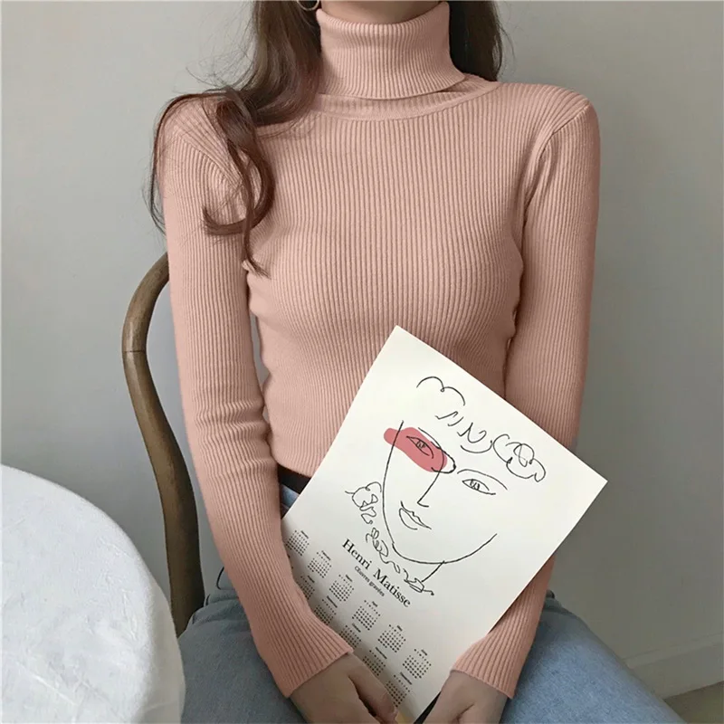 

Laamei Women Turtleneck Sweaters Autumn Winter Korean Slim Pullover Women Basic Tops Casual Soft Knit Sweater Soft Warm Jumper