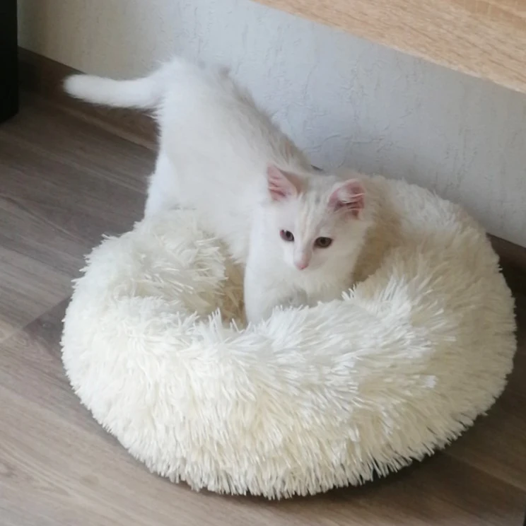 Теплая плюшевая кровать для собак круглая подушка шезлонга маленьких средних и