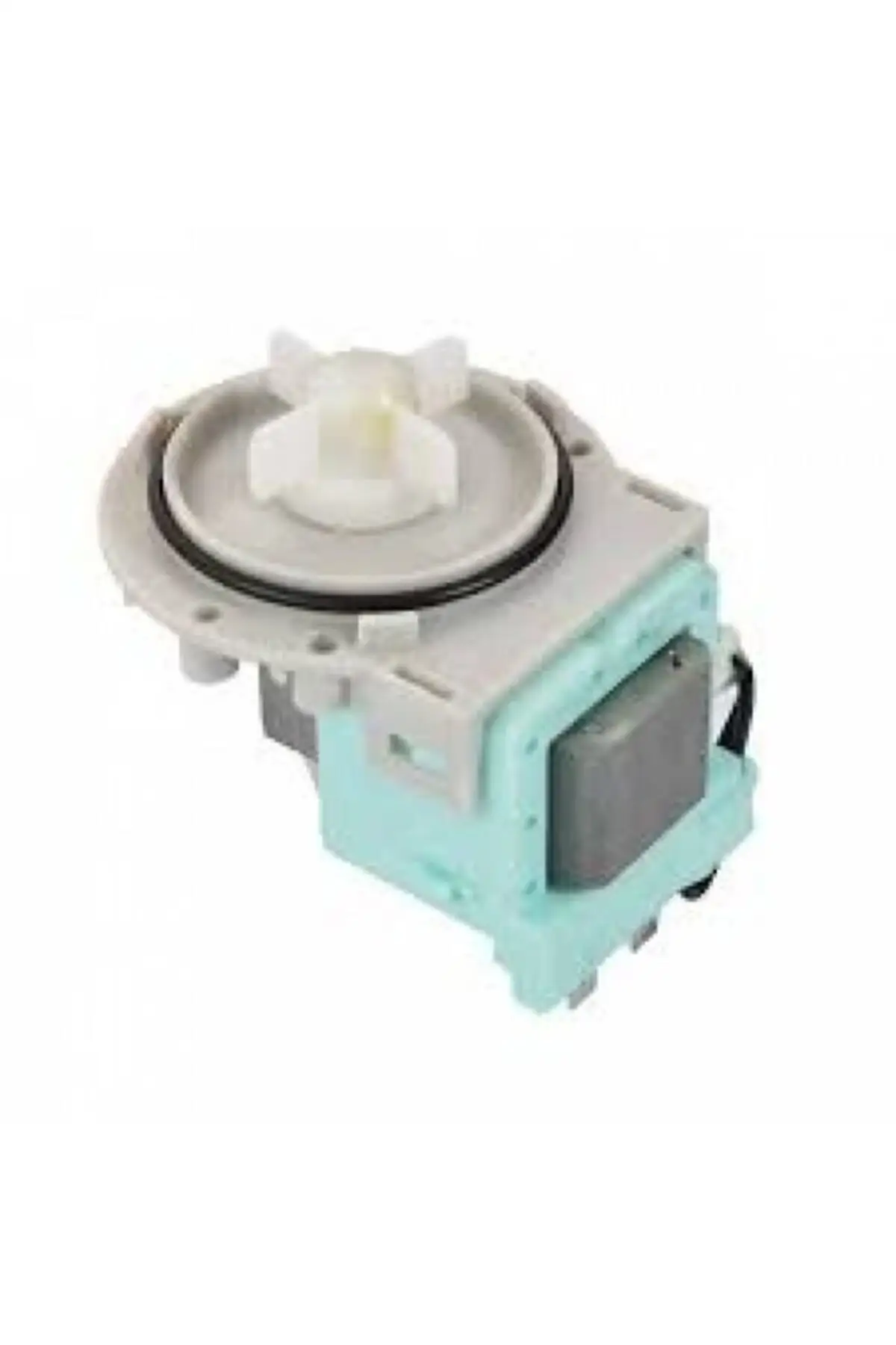 

Washing Machine Drain Pump Motor Screw Capless