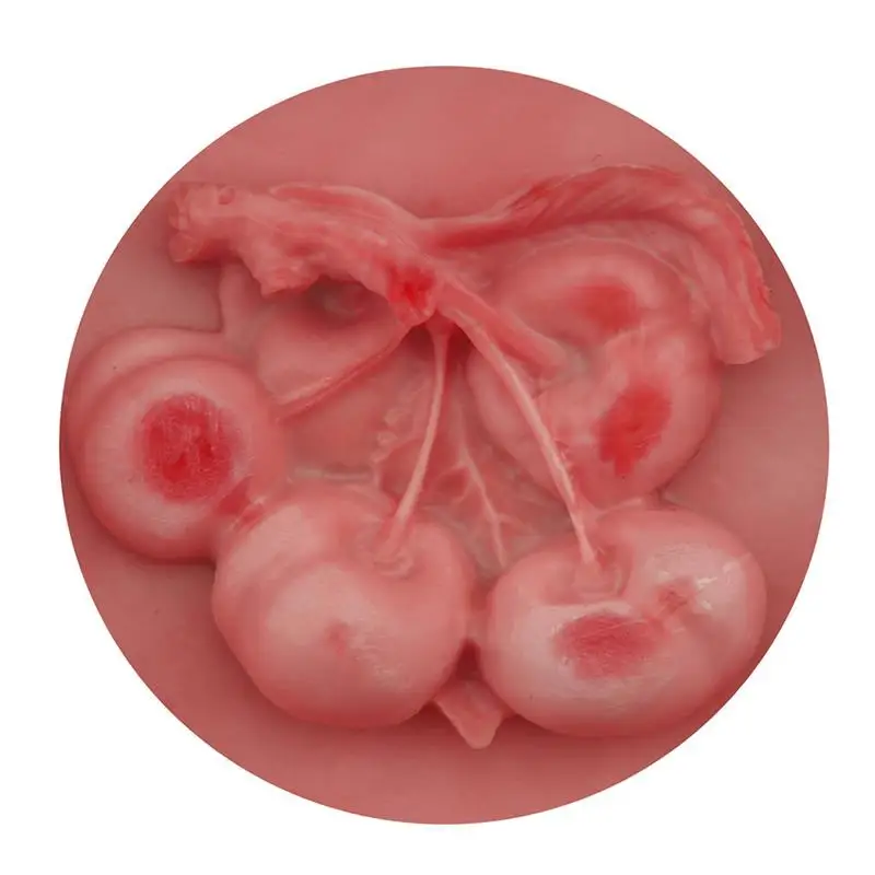 

Cherry Shaped Mold Non-Stick Creative Fondant Mold Silicone Cake Mold Candy Making Mold Chocolate Mould For DIY Cocina Baking