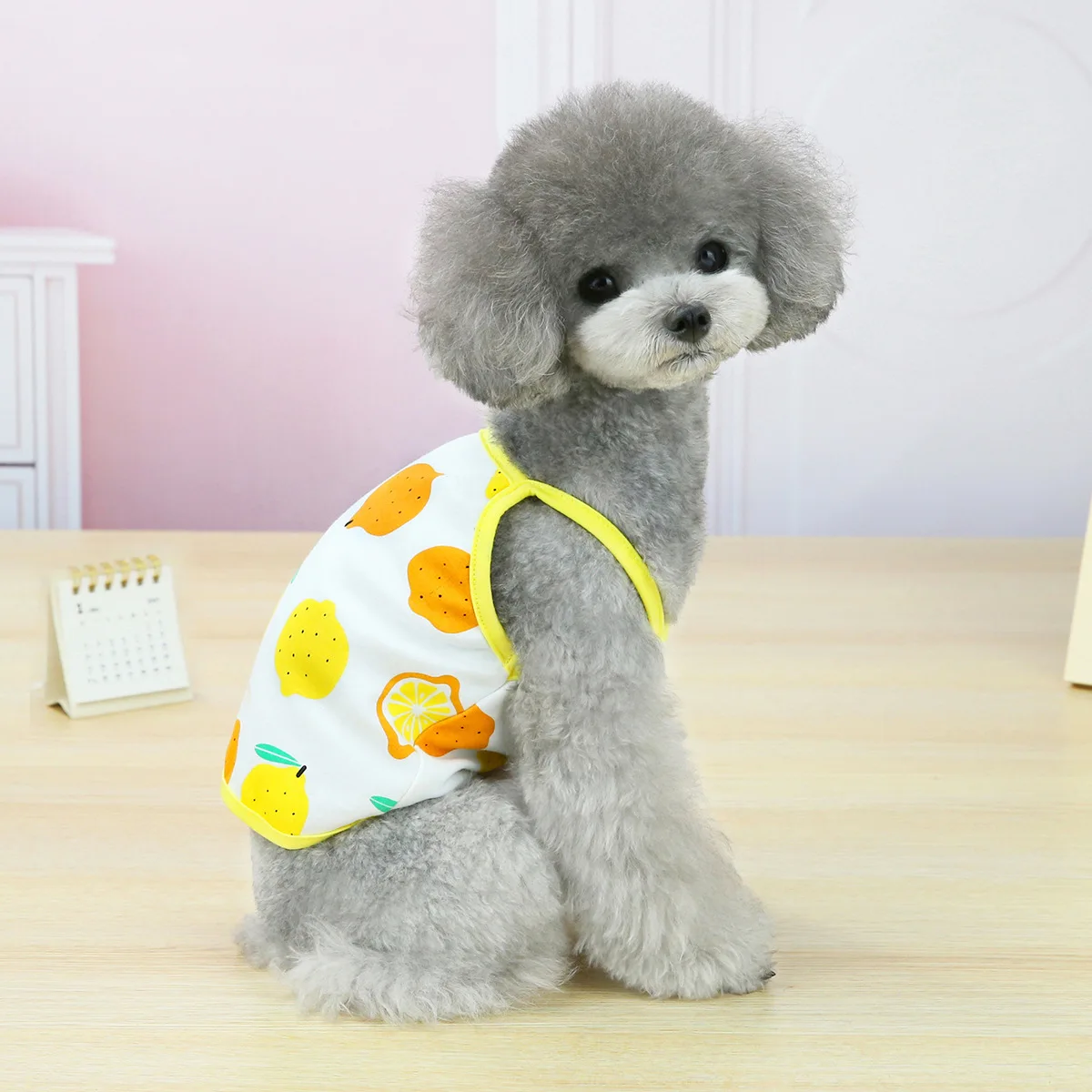 

Pet clothes for small dog cat New l thin five color fruit sling in spring summer Fruit printing Teddy cats dogs vest clothing