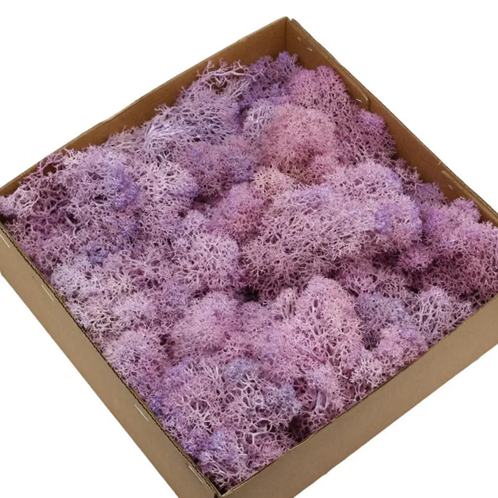 

1 Box Eternal Life Dried Moss Mini Landscape Decor DIY Flower Craft Accessory