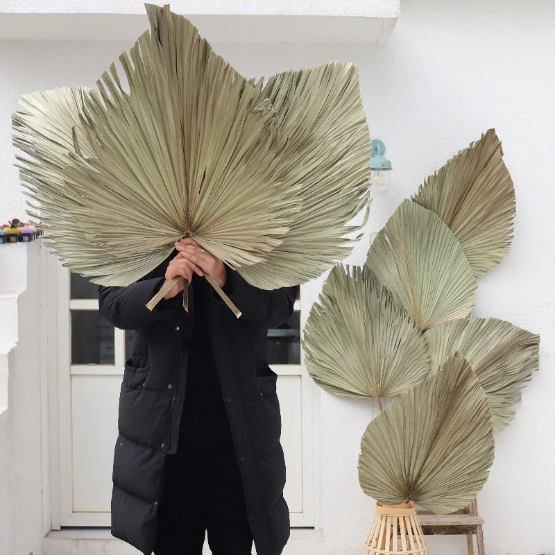 Palm Fan Leaf Dried Flower Window Reception Party Art Wall Hanging Decoration Wedding Arch Arrangement | Дом и сад
