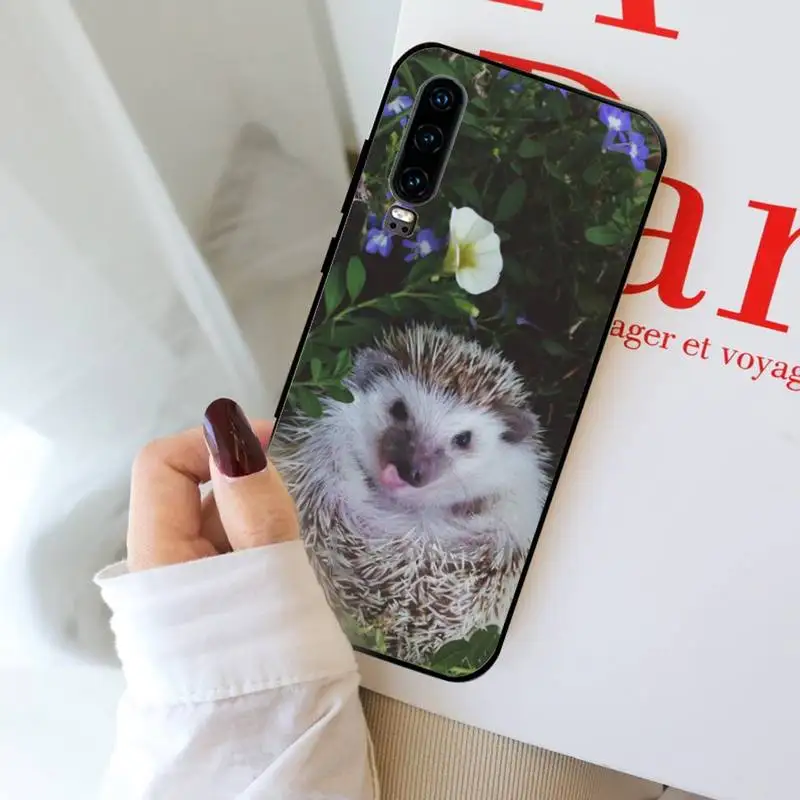 

Hedgehog Phone Cases For Huawei Y5 Y6 II Y7 Y9 PRIME 2018 2019 NOVA3E P20 PRO P10 Honor 10
