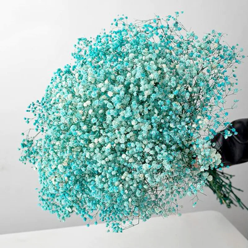 

Консервированные цветы гипсофилы разных цветов