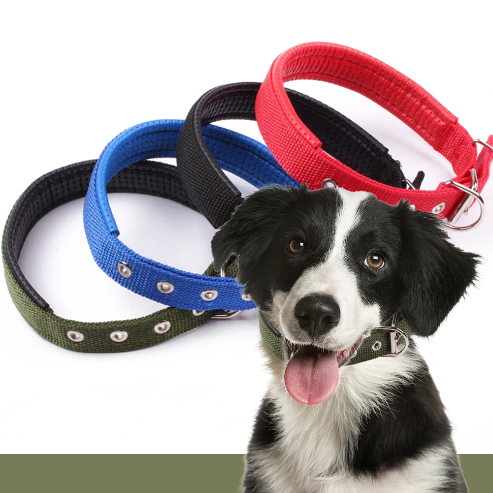 Ошейник для маленьких собак классический однотонный базовый нейлоновый поводок