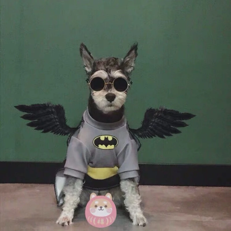 Одежда для косплея супергероев французского бульдога забавная милая собака