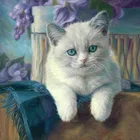 Набор для алмазной живописи, Алмазная мозаика в виде кошки с алмазной вышивкой и животными, украшение для дома, подарок