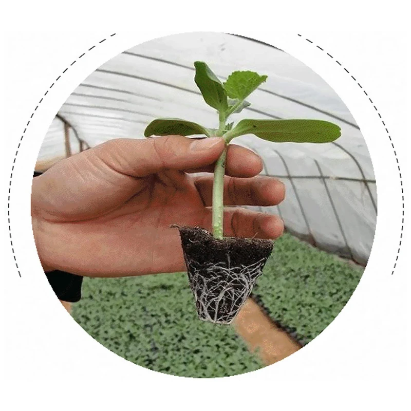 10 шт. 128 ячеек стартовый лоток для рассады семена растение цветочные горшки