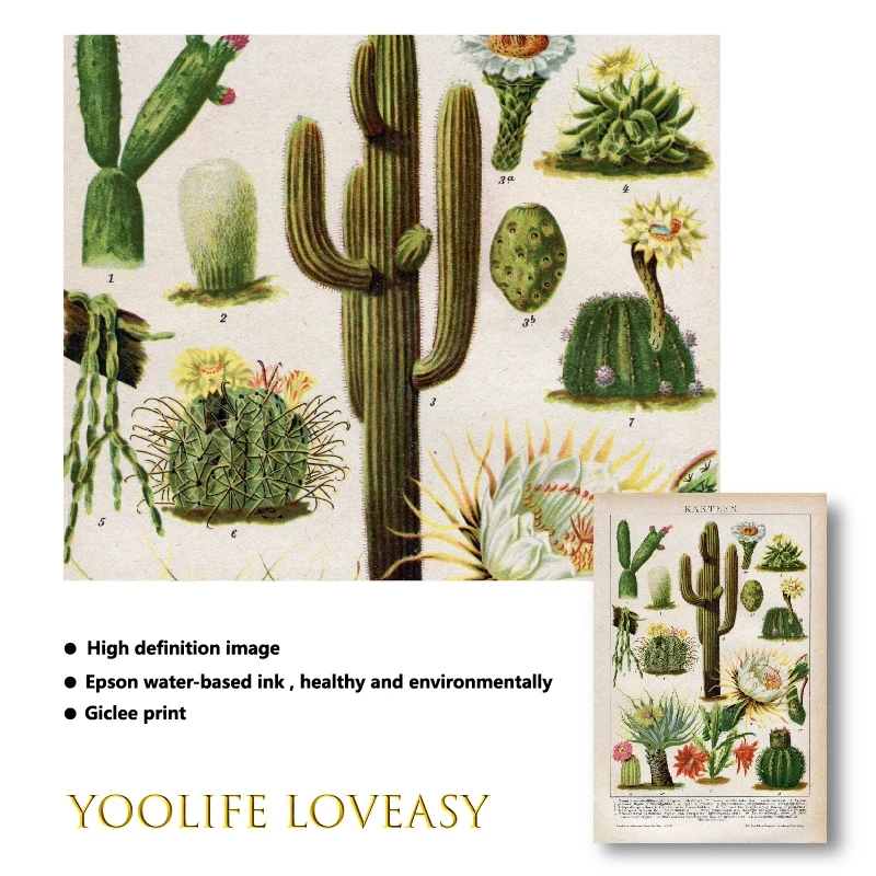 Cactus Flowers Desert Plants Succulents Posters and Prints Botanical Wall Art Canvas Painting Educational Pictures Decor |