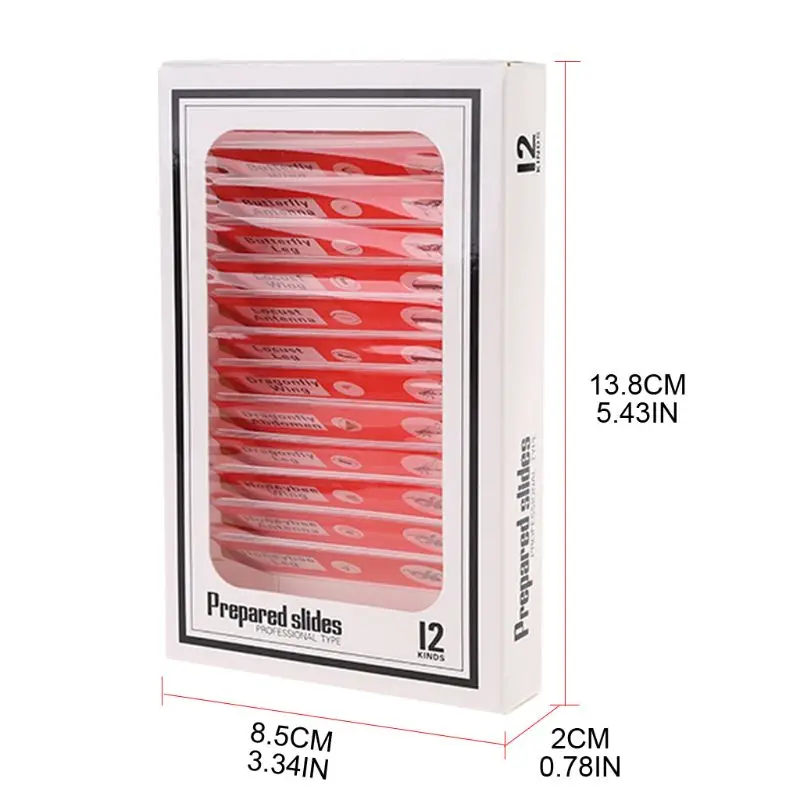 48pcs/set Kids Plastic Prepared Microscope Slides Biological Specimen Animals Plants Insects Flowers Sample A5YD | Инструменты