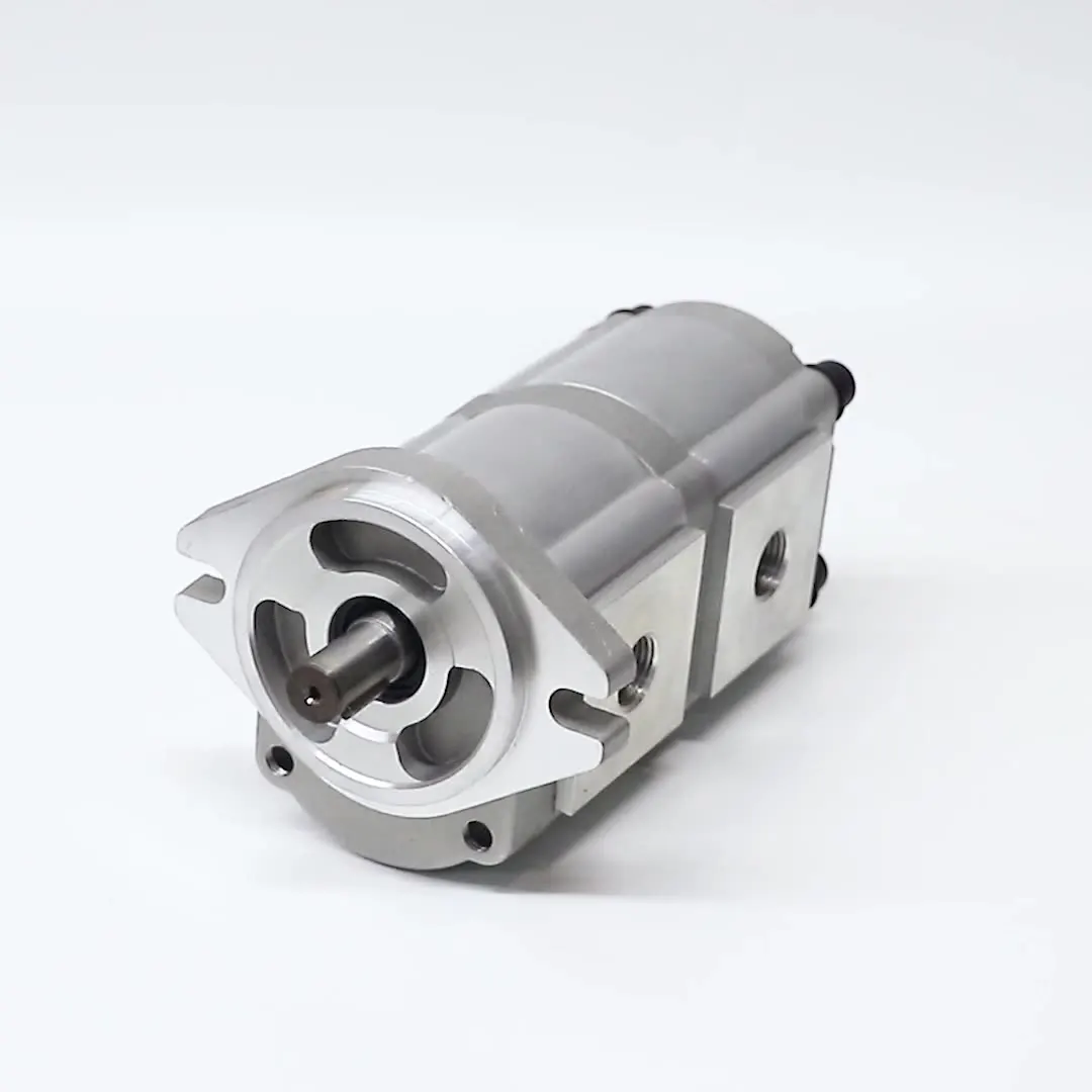 

Double hydraulic gear pump