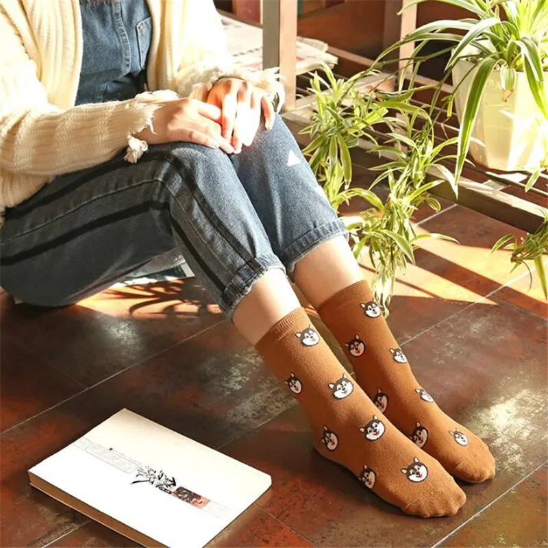 MYORED women cartoon pug short socks woman lovely cat ankle socks kawaii ladies students funny christmas gift socks calcetines