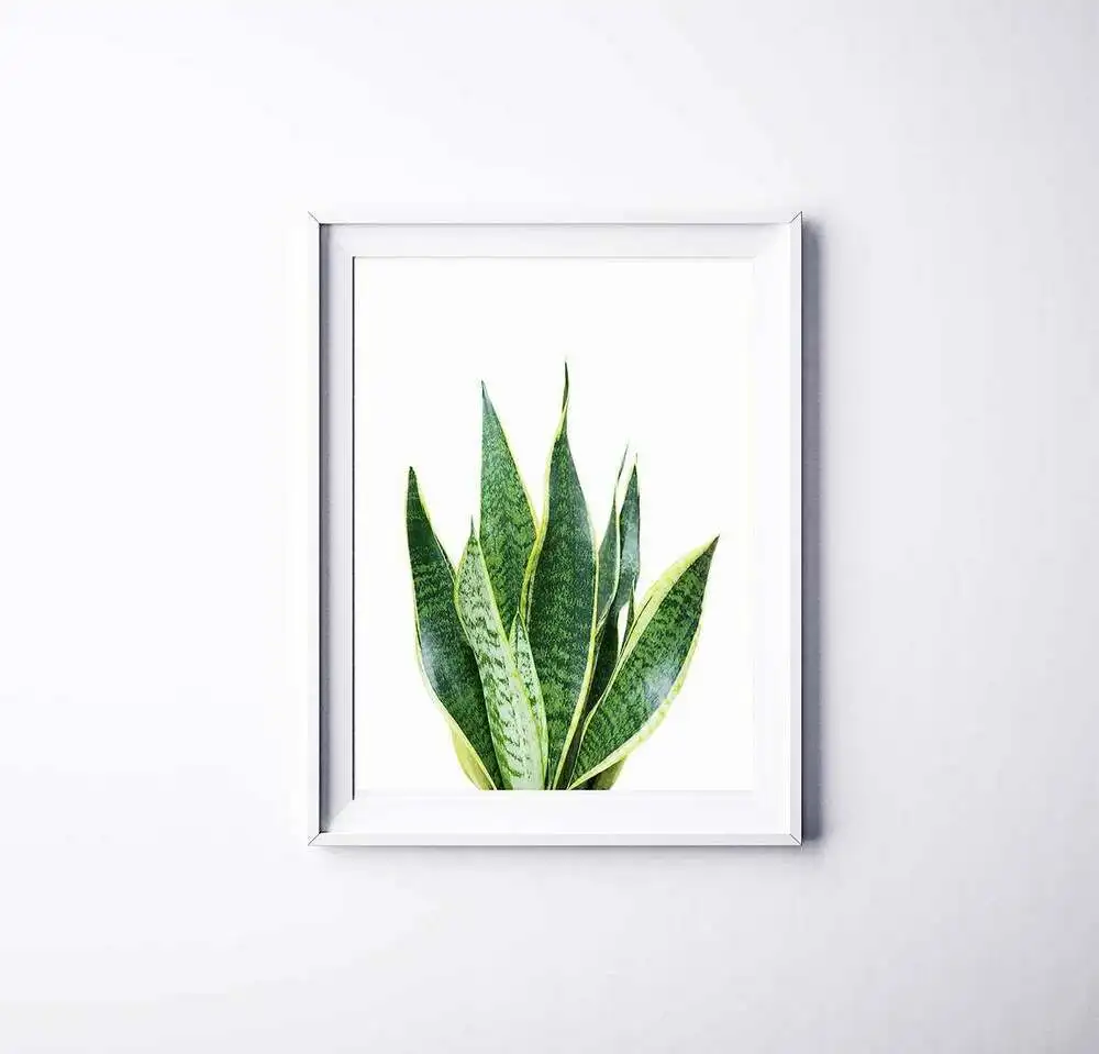 

Greenery Wall Art Poster Print. Perfect for Home Decoration Canvas Posters Painting For Living Room Office Home Wall Art