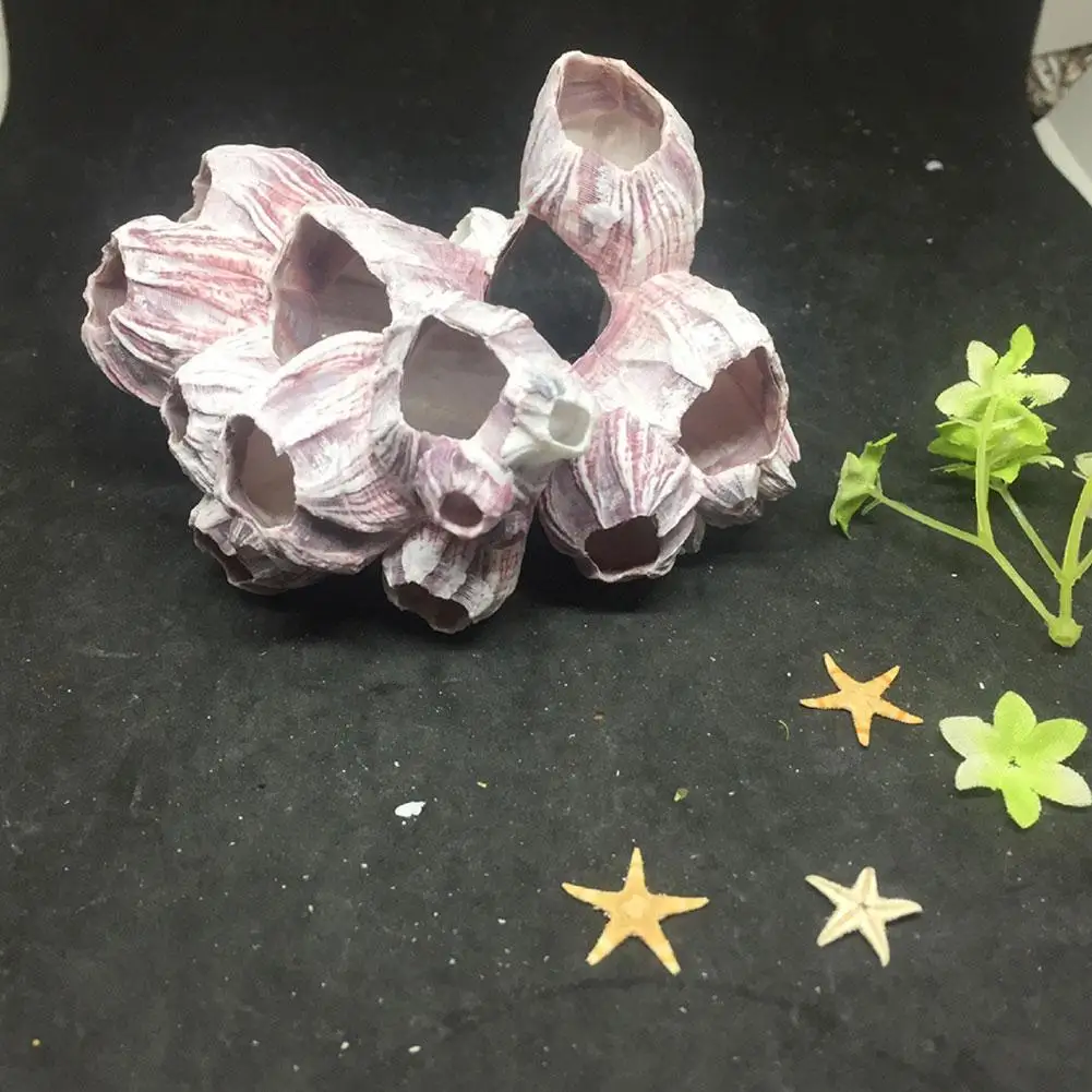 

Creative Natural Sea Fish Shells Tank Simulation Coral Aquarium Landscaping Decoration Conch Ornaments