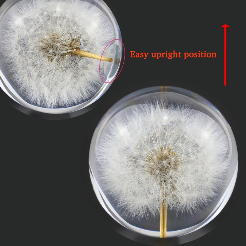 

Real Dandelion Crystal Glass Resin Lens Ball 90mm Natural Plants Specimen Feng Shui Flowers Christmas Love Gift Home Decor Globe
