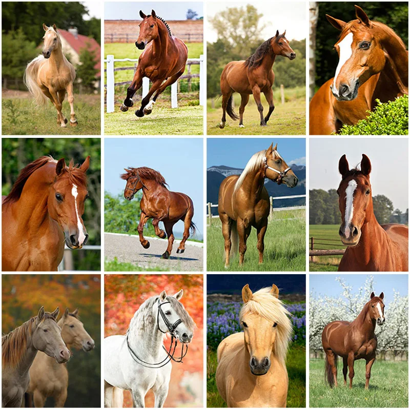 

5D DIY Full Square Drill Horse Diamond Painting Animal Diamond Embroidery Cross Stitch Rhinestones Art Needlework Home Decor