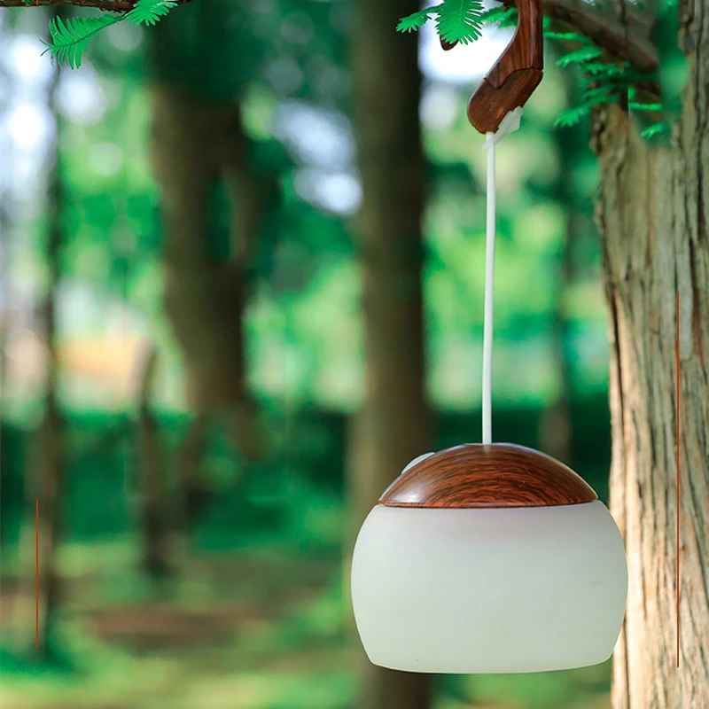 

D2 USB-зарядка кемпинговый фонарь Многофункциональный мягкий свет атмосферная лампа три яркости крючок портативный светодисветодиодный для ...