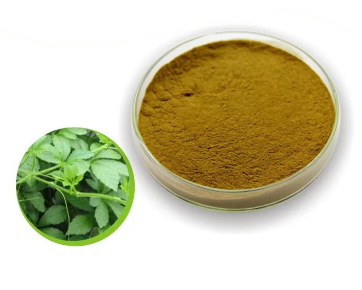 

Gynostemma Extract Powder - Potent 20% Extract Powder Gynostemma P.E for Anti-can cer,anti-aging effect