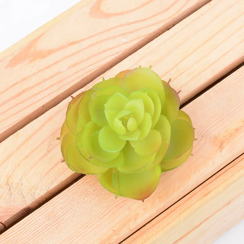 Имитация суккулентных растений-роза с круглым сердечником и суккулентами | Дом