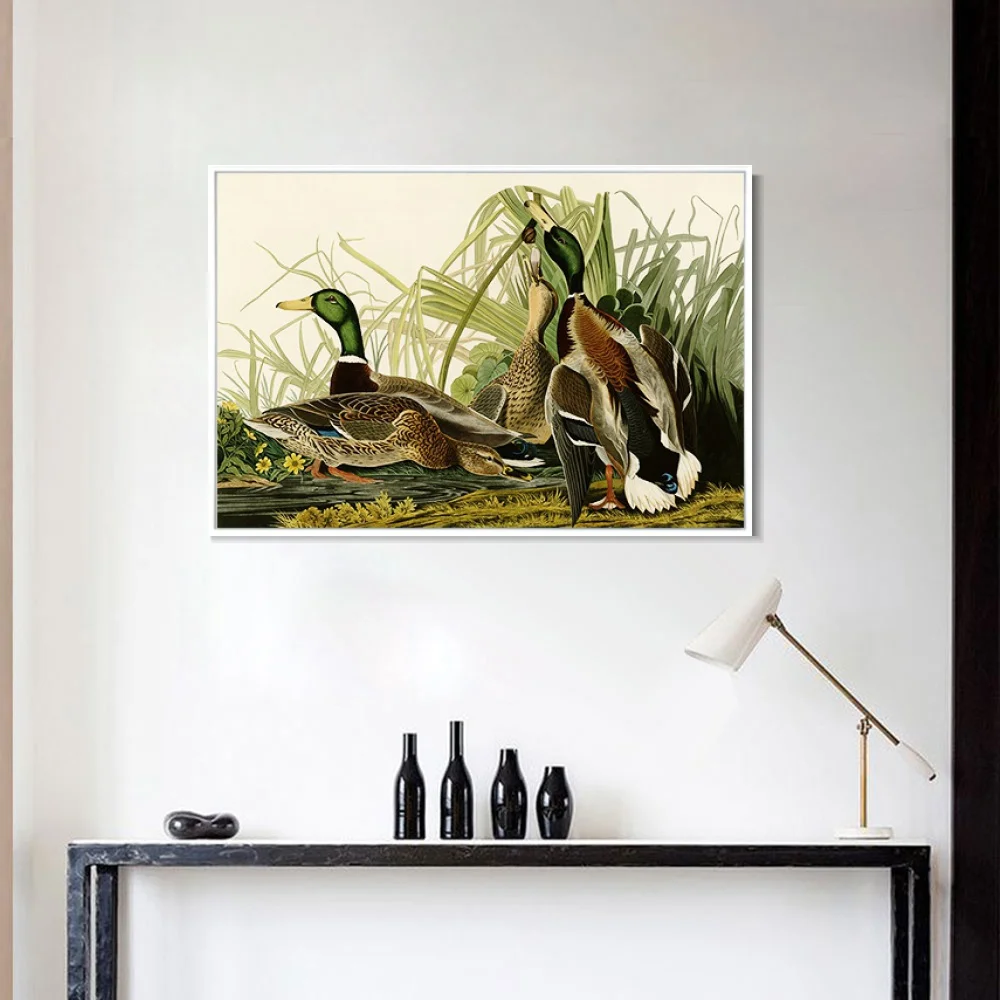 Кряква утка Джон Джеймс Audubon живопись холст искусство печать плакат Настенная