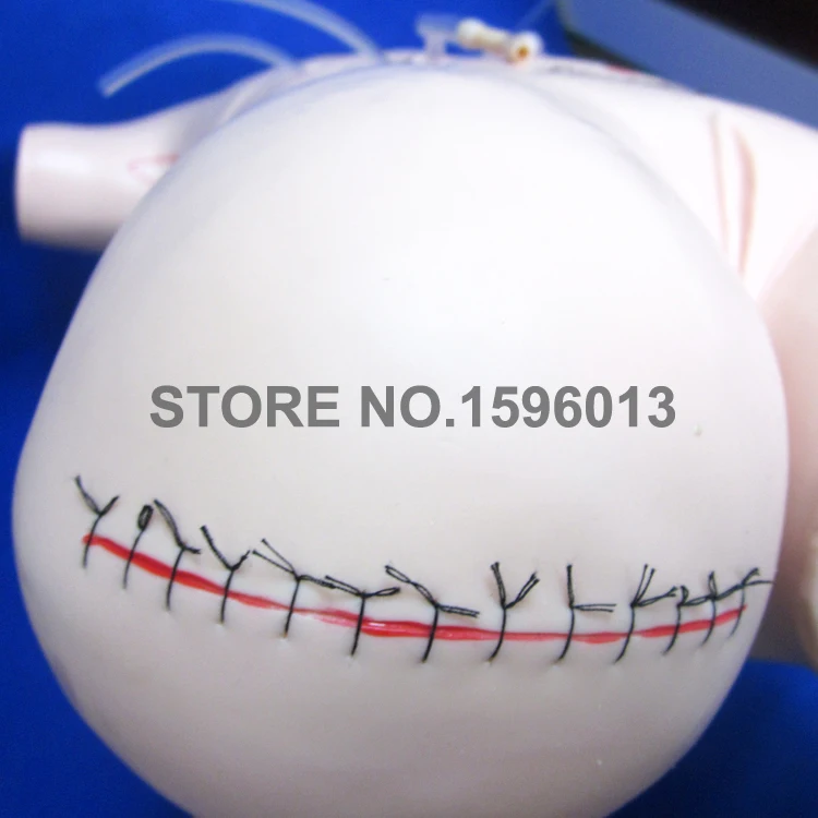 Полнофункциональный хирургические профессиональной подготовки манекена для