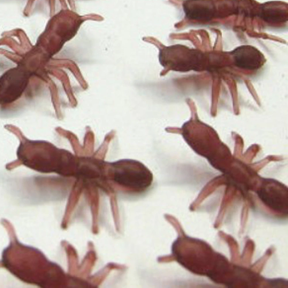 100 шт./компл. реалистичные вечерние прочный Гостиная сделанных своими руками бар