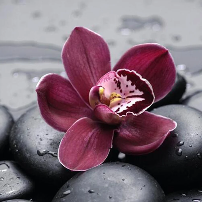 Полностью круглая алмазная живопись Цветочная вышивка мозаика из камня и воды