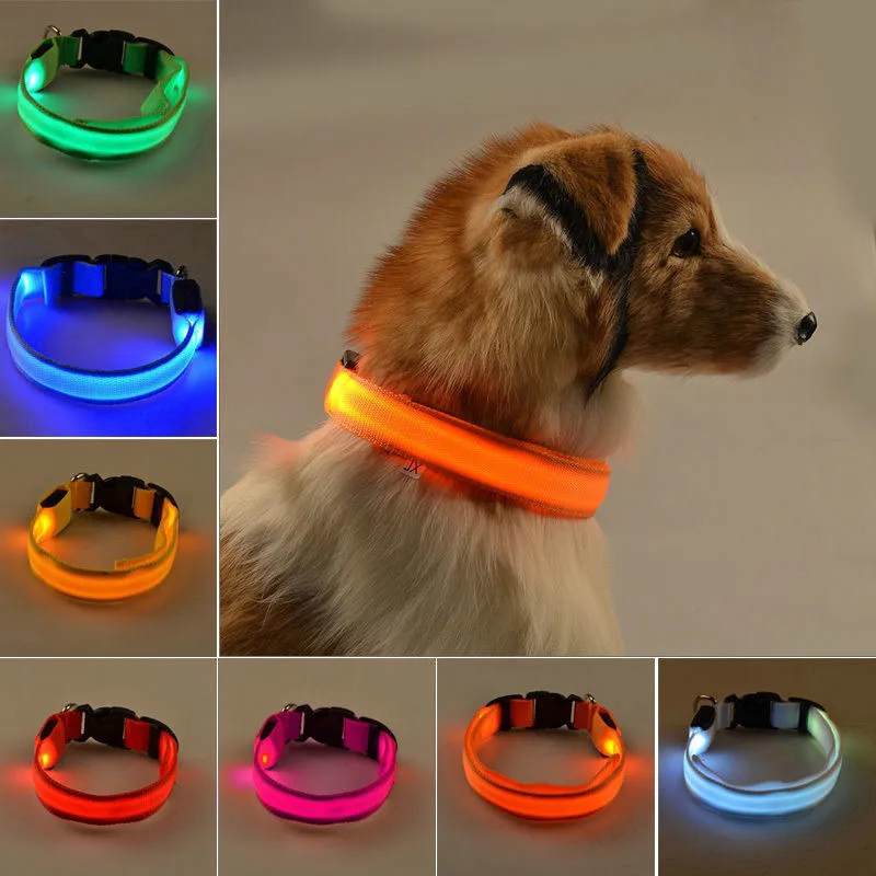 

USB Charging Led Dog Collar Anti-Lost Luminous Flashing Necklace Cat Dog Light Outdoor Walking Night Safety Collar Pet Supplies