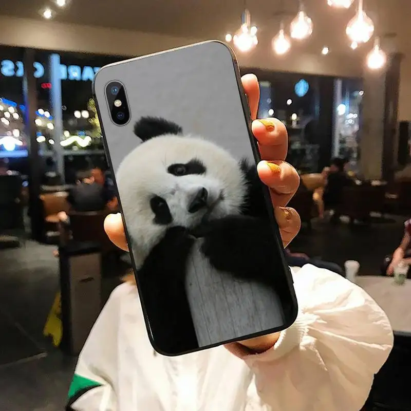 

Panda Cute animal mobile fundas Phone Case for iPhone 11 12 pro XS MAX 8 7 6 6S Plus X 5S SE 2020 XR