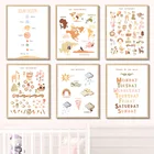 Солнечная система Карта континента животные Алфавит цифры скандинавские постеры и принты художественная живопись холст настенные картины декор для детской комнаты