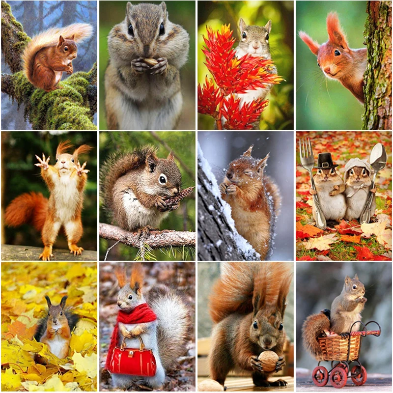 

DIY Squirrel 5D Diamond Rhinestone Painting Kits For Children Full Square Drill Embroidery Cross Stitch Sets Wall Decoration
