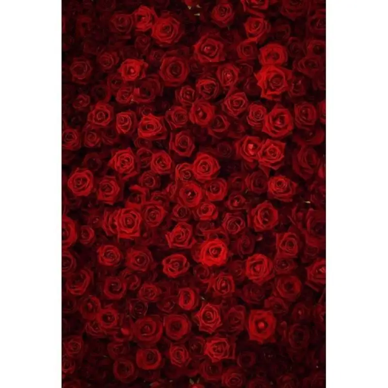 

Nitree Photo Studio Photography Props Flowers Vinyl Background Red Backdrop NI-20201257
