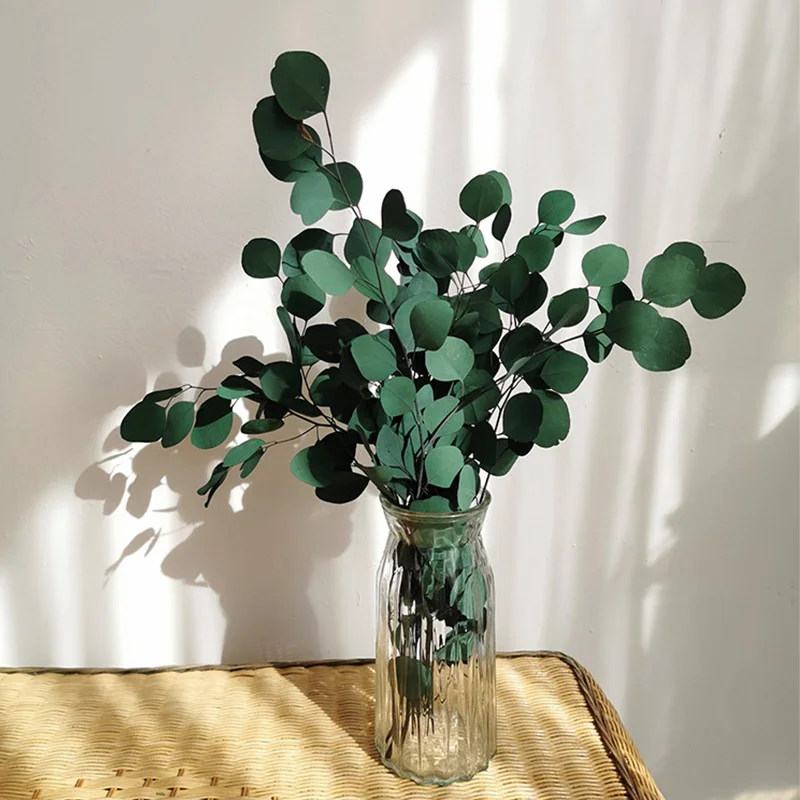 

Natural Eucalyptus Leaves Branches Dried Flower Real Dry Palnt Grass Ornament DIY Wedding Shooting Prop Home Decoration Supplies