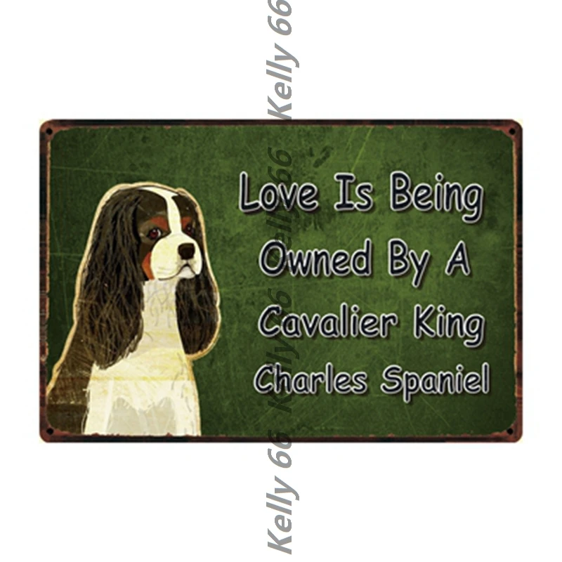 [Kelly66] машина ля стрижки домашних животных собак питбуль для бульдога Чихуахуа