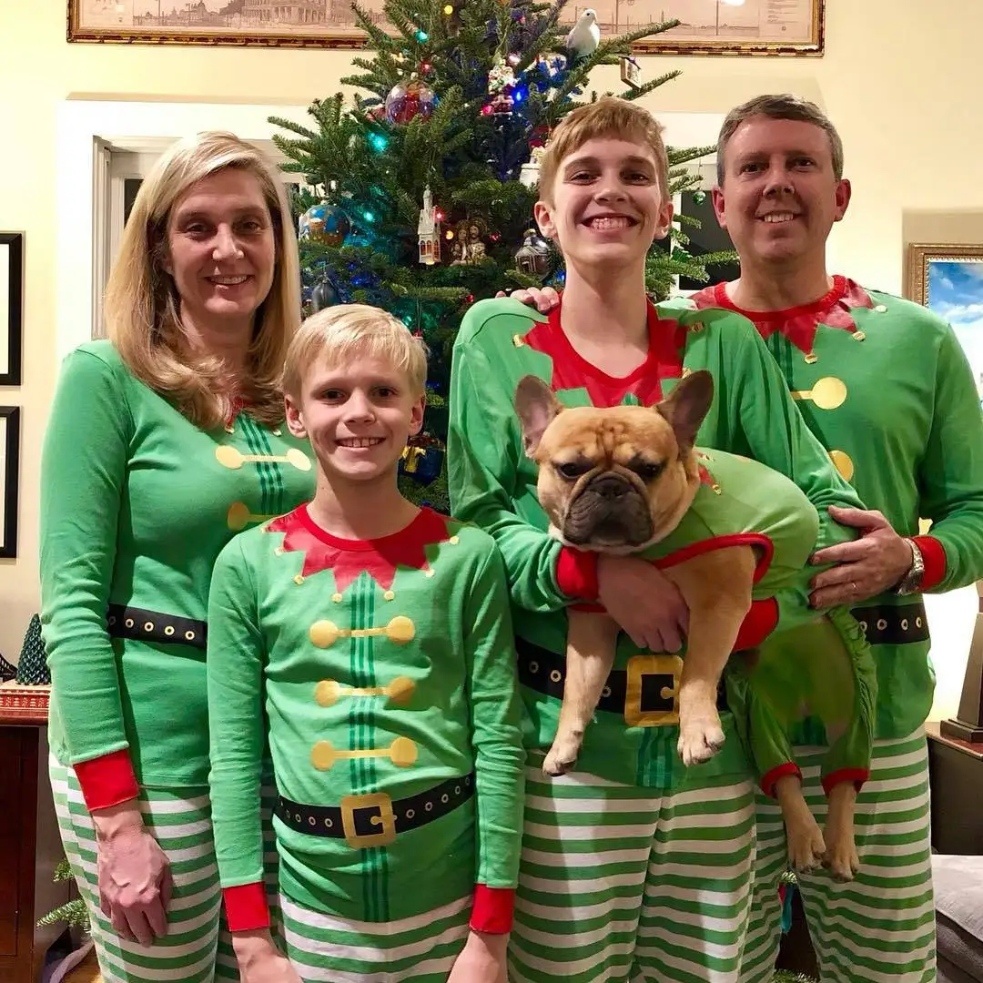 2019 повседневные рождественские пижамные наборы забавные зеленые топы с длинными