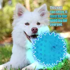 Симпатичные щенки собаки кошки Ежик мяч резиновый колокольчик Звуковой шар креативная забавная игра игрушка для домашних животных приятный подарок